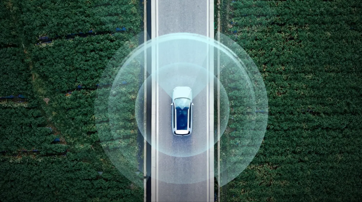 ImagenGaleríaMultiple